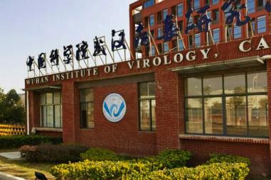 Wuhan_Institute_of_Virology_main_entrance-e1709556163518-810x500.jpg