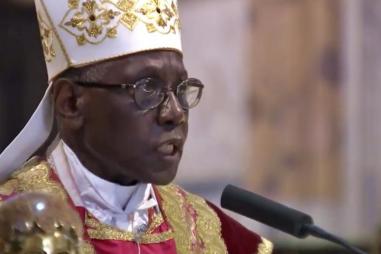 Cardinal_Robert_Sarah__May_21__2018_810_500_75_s_c1.jpg