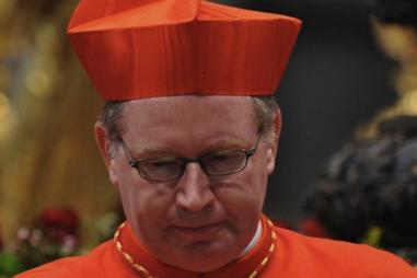 Cardinal_willem_eijk1_810_500_75_s_c1.jpg