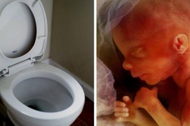 Social-1-Bioethicist-highlights-concerns-with-disposal-of-unborn-babies-in-toilets-under-proposed-law-change.jpg