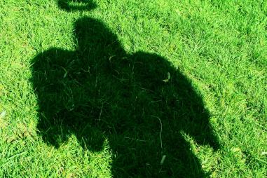 angel-shadow-on-grass-56a000895f9b58eba4ae670d.jpg