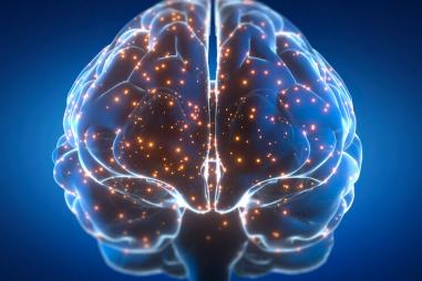 Brain-shutterstock-e1718819231716-810x500.jpeg