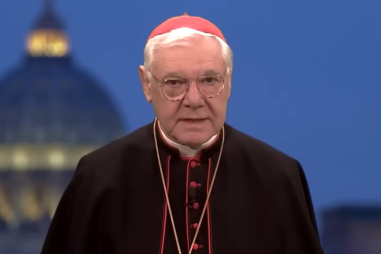 Cardinal-Muller-810x500.png