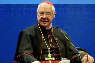 Cardinal-Muller-RLF-e1700483840252-810x500.jpeg