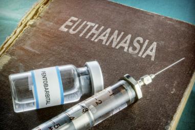 Euthanasia-e1707394222445-810x500.jpg