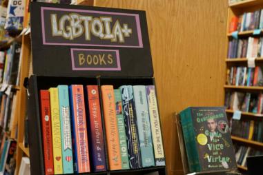 LGBT-book-scaled-e1711126172663-810x500.jpg