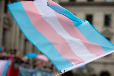 Transgender-flag-1-810x500.jpeg