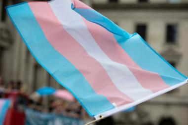 Transgender-flag-1-e1705405664277-810x500.jpeg