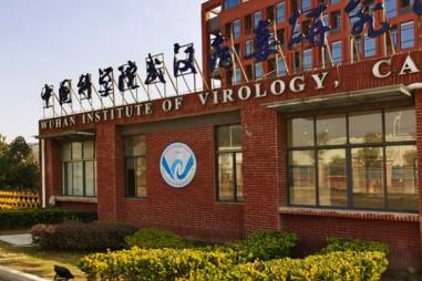 Wuhan_Institute_of_Virology_main_entrance-e1678904948328-810x500.jpg