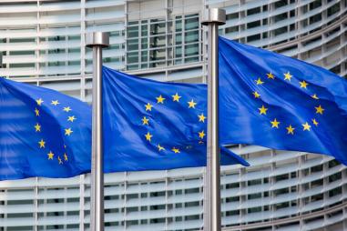 european_union_flags-e1756225130120-810x500.jpg