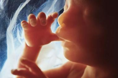 preborn_baby__womb__fetus-e1709120071967-810x500.jpg