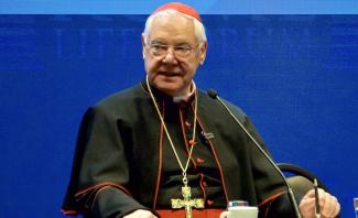 Cardinal-Muller-RLF-e1700483840252.jpeg
