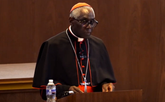 Cardinal-Sarah-CUA-810x500.png