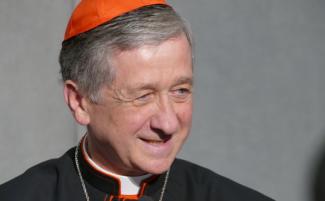 Cardinal_Blase_Cupich_-_credit_Diane_Montagna-810x500.jpg