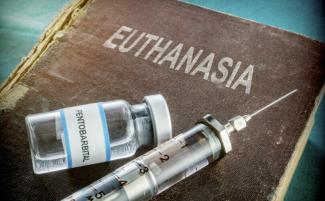 Euthanasia-e1707394222445-810x500.jpg