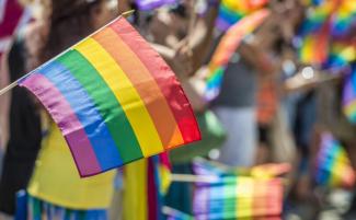 LGBT-flag-march-e1702556599315-810x500.jpg