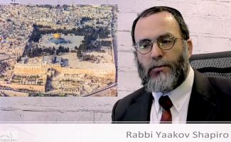 Rabbi-Yakkov-Shapiroweb-810x500.jpg