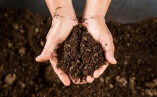 Shutterstock_309119711-810x500.jpg