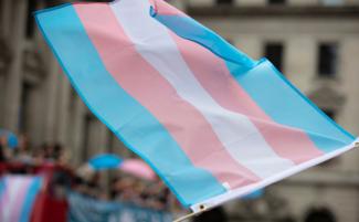 Transgender-flag-1-810x500.jpeg