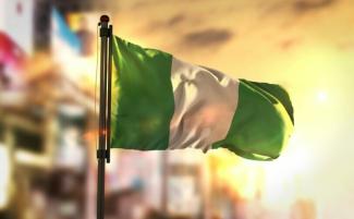 nigeria_flag-e1720178298143-810x500.jpg