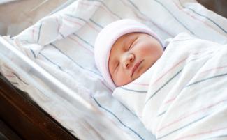 shutterstock_2588974685-810x500.jpg